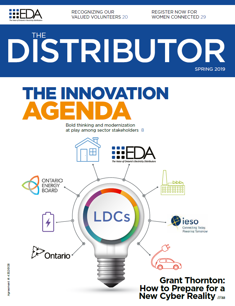 Electricity Distributors Association > FOR CONSUMERS > The Distributor